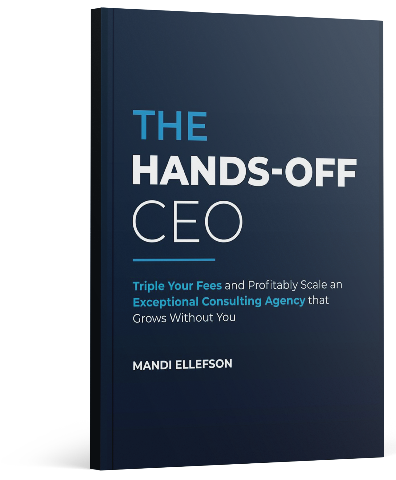 The Hands-Off CEO book cover