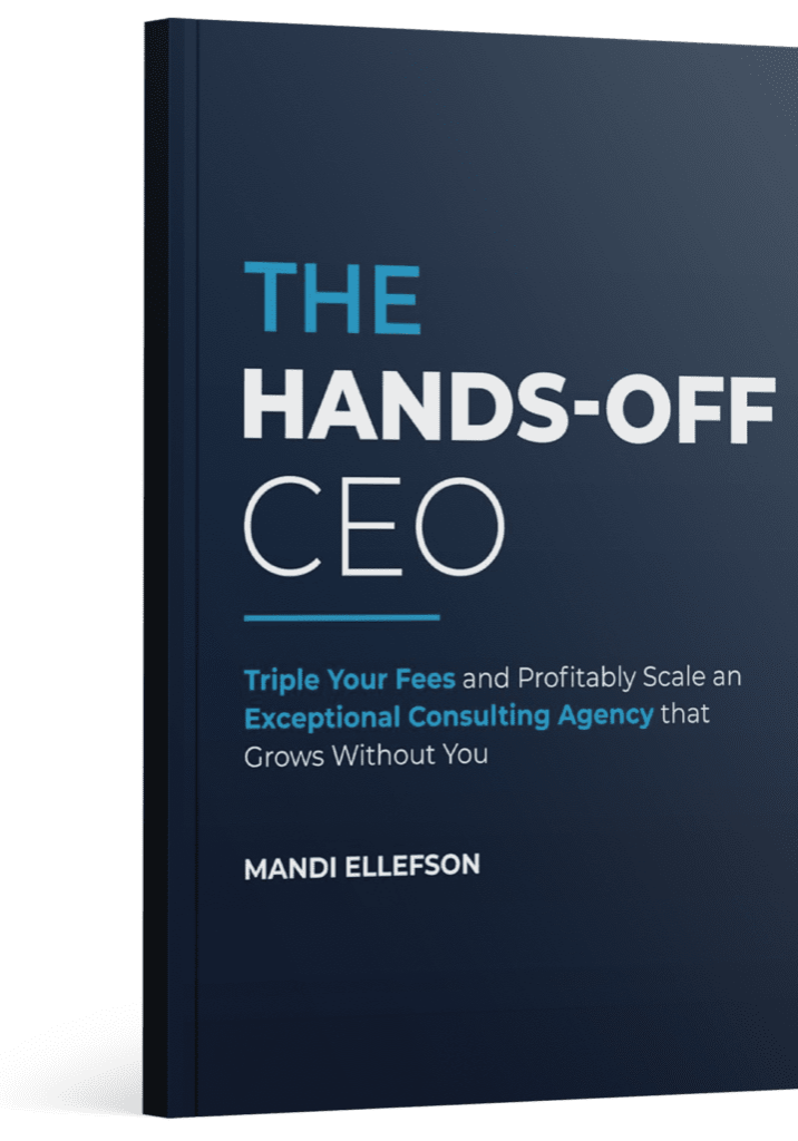 The Hands-Off CEO book cover